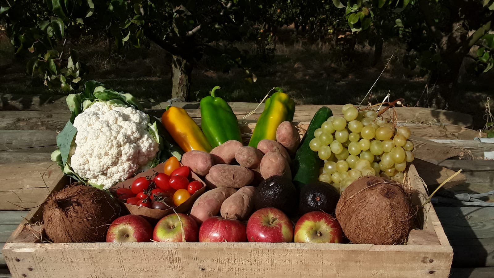 marché_de_sennevières_panier_fruits_et_légumes_5_personnes_#23_10_septembre_2020 marché_de_sennevières_panier_fruits_et_légumes_5_personnes_#22_03_septembre_2020
